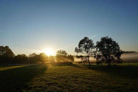 Narangba Motel (formerly Brisbane North B&B And Winery) - QLD Tourism 2