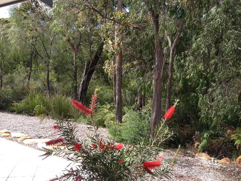 Cape Villas Dunsborough Unit 2 - QLD Tourism 22
