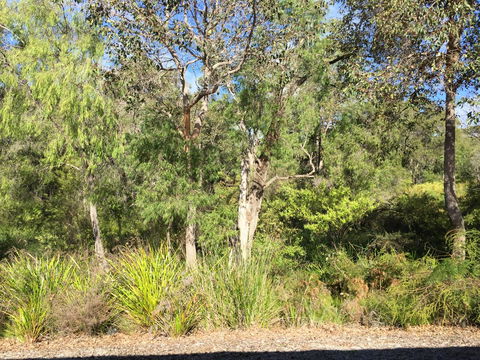 Cape Villas Dunsborough Unit 2 - QLD Tourism 26