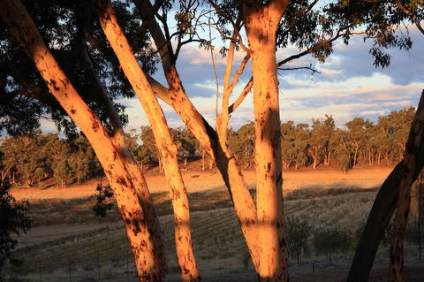 Hotham Ridge Estate - QLD Tourism 30