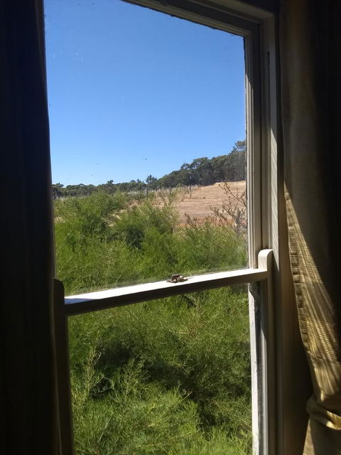 Hotham Ridge Estate - QLD Tourism 8