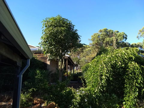 Hotham Ridge Estate - QLD Tourism 5