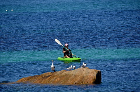 Sandpiper Retreat - Queensland Tourism 29