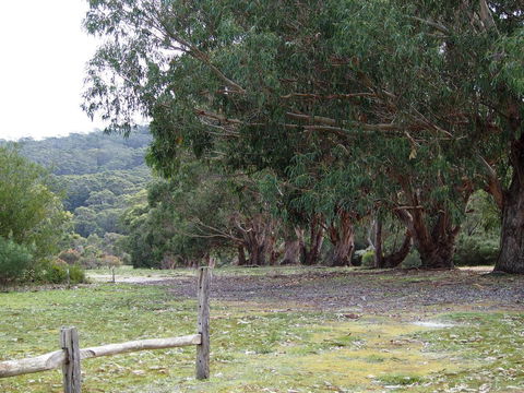 Riverside Retreat Chalets, Walpole - QLD Tourism 17