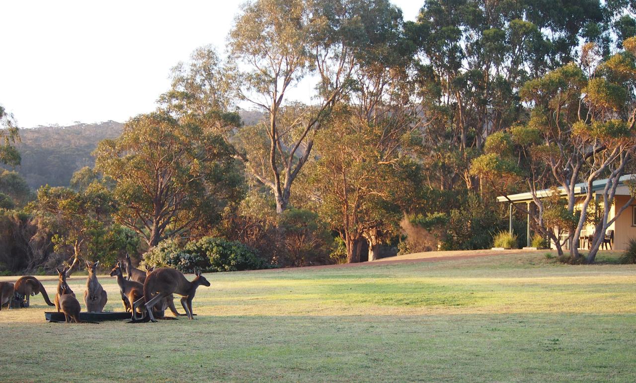 Walpole WA Queensland Tourism