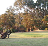 Riverside Retreat Chalets Walpole - Queensland Tourism