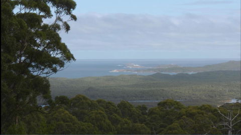 Riverside Retreat Chalets, Walpole - QLD Tourism 30