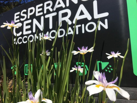 Esperance Central Accommodation - QLD Tourism 0