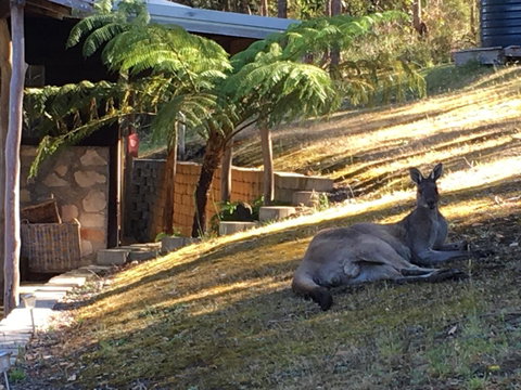 Kangaroo Valley Cottage - QLD Tourism 3