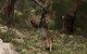 Kangaroo Valley Cottage - thumb 17