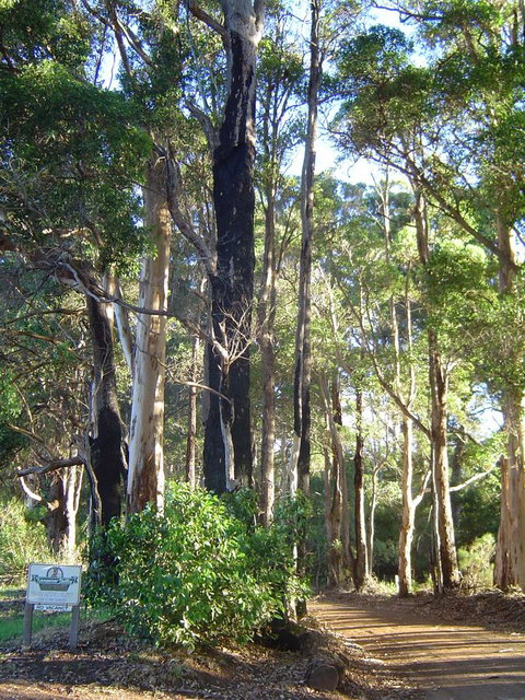 Kangaroo Valley Cottage - QLD Tourism 21