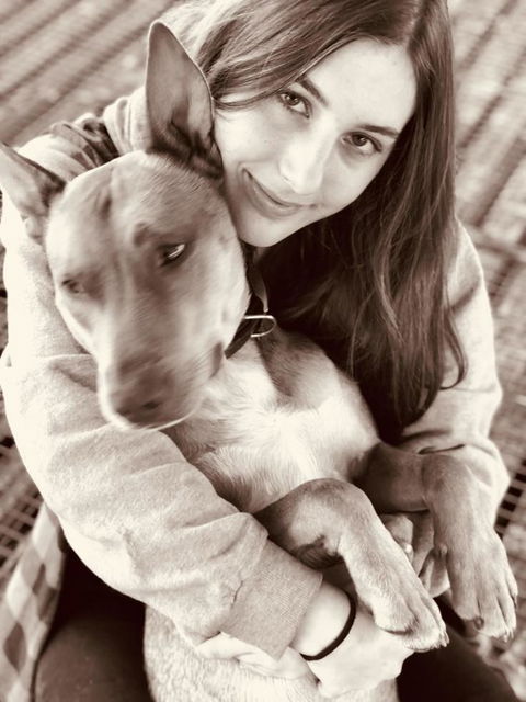 Kellers Bed And Breakfast - QLD Tourism 15