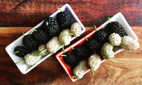 Kellers Bed And Breakfast - QLD Tourism 41