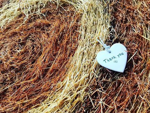 Kellers Bed And Breakfast - QLD Tourism 44