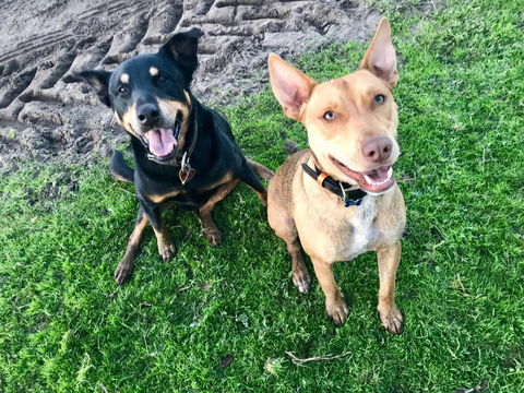 Kellers Bed And Breakfast - QLD Tourism 14