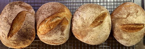 Kellers Bed And Breakfast - QLD Tourism 13