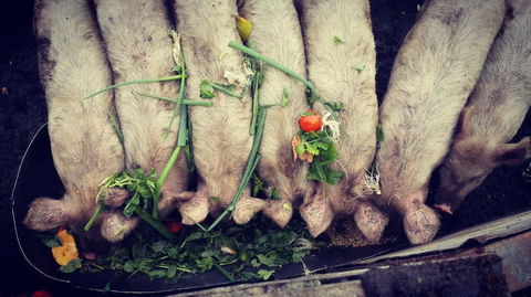 Kellers Bed And Breakfast - QLD Tourism 34