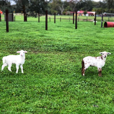 Kellers Bed And Breakfast - QLD Tourism 30