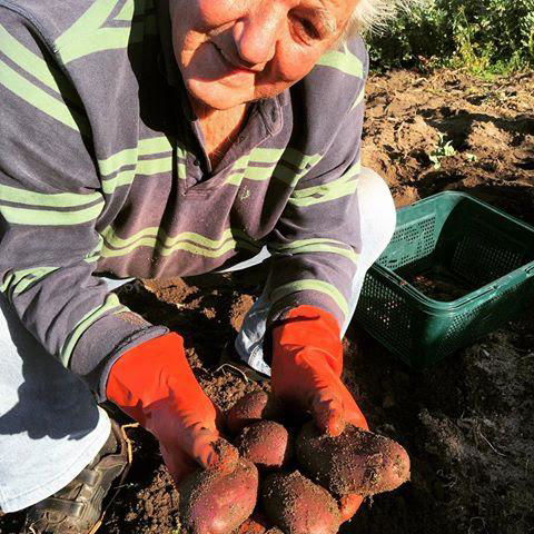 Kellers Bed And Breakfast - QLD Tourism 38