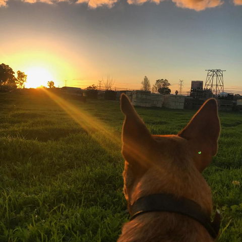 Kellers Bed And Breakfast - QLD Tourism 43