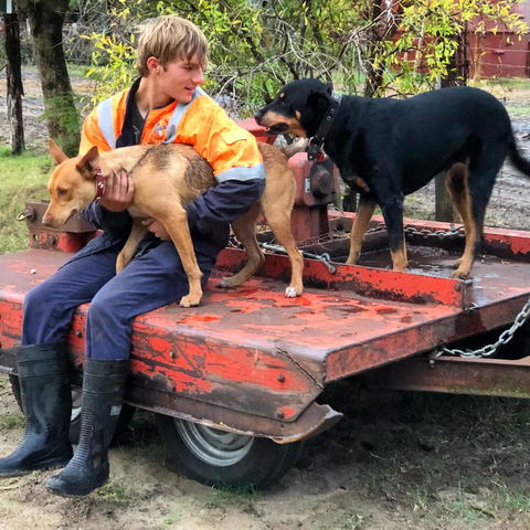 Kellers Bed And Breakfast - QLD Tourism 16