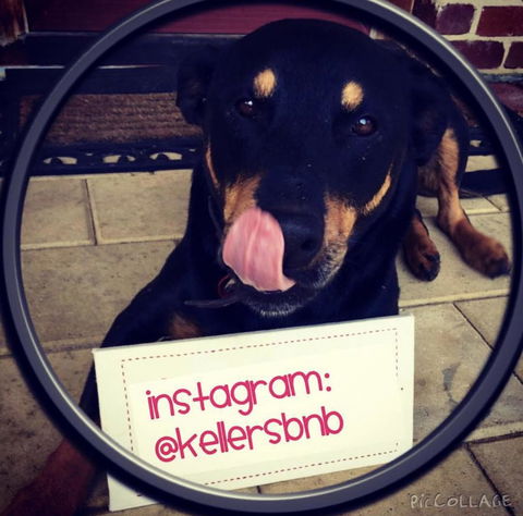 Kellers Bed And Breakfast - QLD Tourism 2