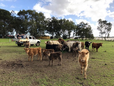 Kellers Bed And Breakfast - QLD Tourism 33