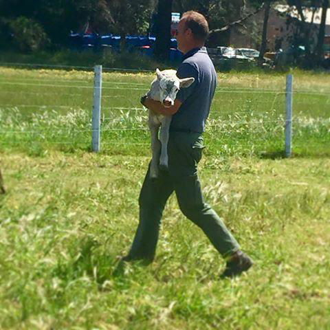 Kellers Bed And Breakfast - QLD Tourism 27