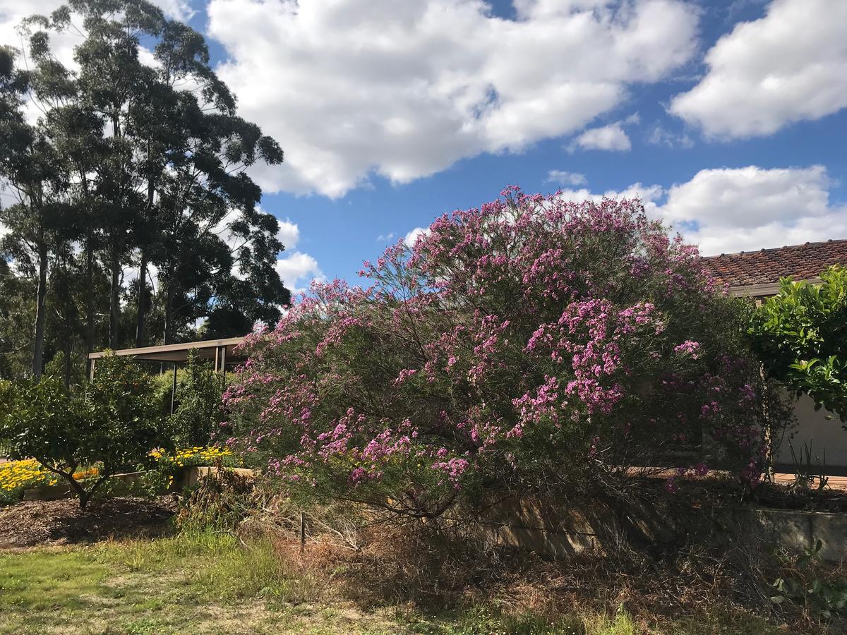 Aubin Grove WA Queensland Tourism