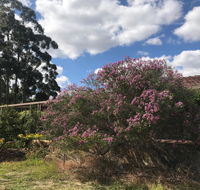 Cockburn Retreat Home  - Queensland Tourism