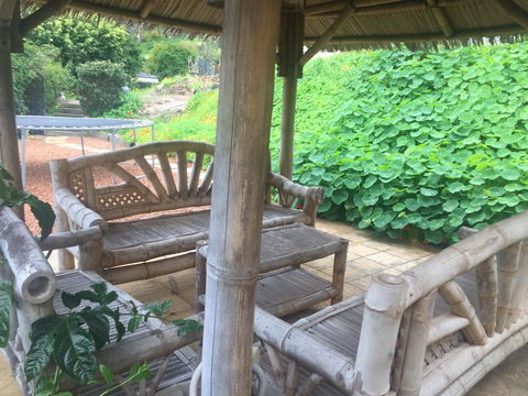 Bright & Beautiful Home On The Hills! - QLD Tourism 25