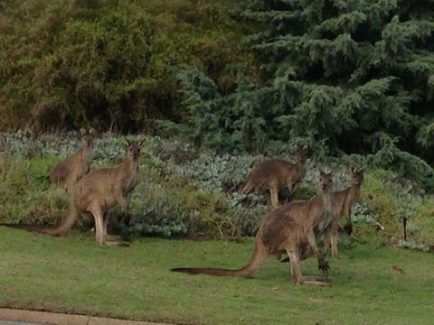 Bright & Beautiful Home On The Hills! - QLD Tourism 31
