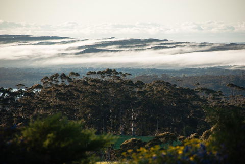 Celestine Retreat - QLD Tourism 13