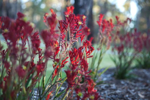 Amaroo Retreat & Spa - Queensland Tourism 16