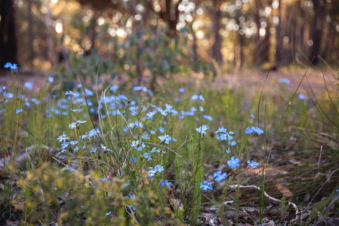 Amaroo Retreat & Spa - Queensland Tourism 15