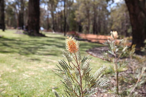 Amaroo Retreat & Spa - Queensland Tourism 19