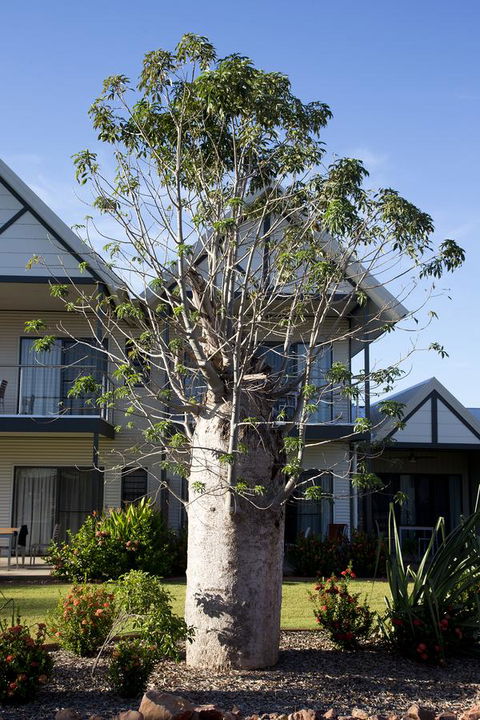 Freshwater East Kimberley Apartments - Queensland Tourism 18