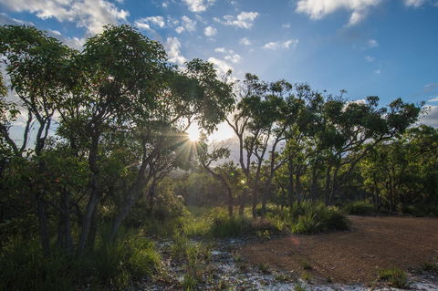 Cape Howe Cottages - QLD Tourism 1