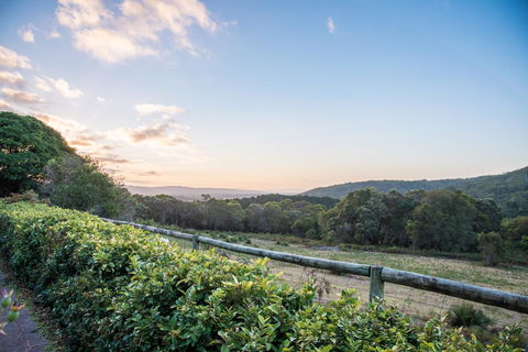 Cape Howe Cottages - QLD Tourism 29