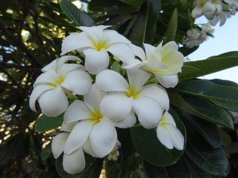 Broome - Queensland Tourism 3