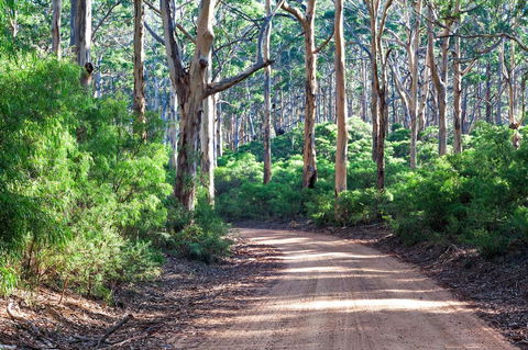 Margaret River Retreat - Queensland Tourism 20
