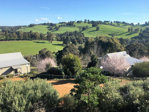 Balingup Highview Chalets - Queensland Tourism 5
