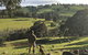 Balingup Highview Chalets - thumb 27