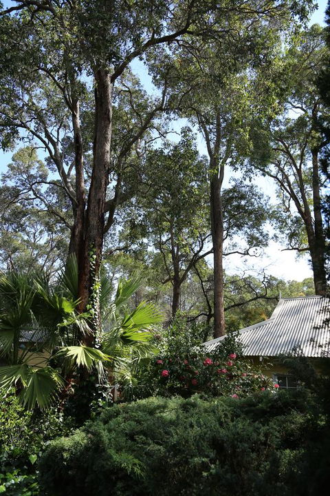 Two Sisters Chalets - QLD Tourism 33