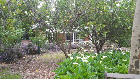 Two Sisters Chalets - QLD Tourism 15