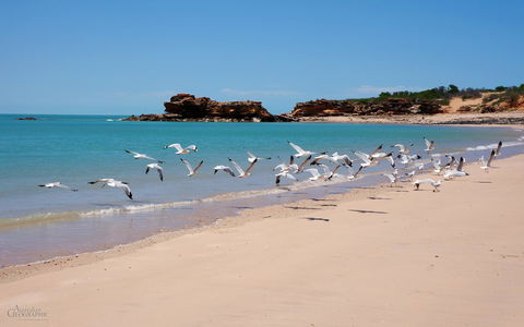 Apartments At Blue Seas Resort - Queensland Tourism 25