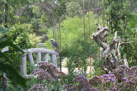 Rosebridge House Bed & Breakfast Adult Retreat - QLD Tourism 12