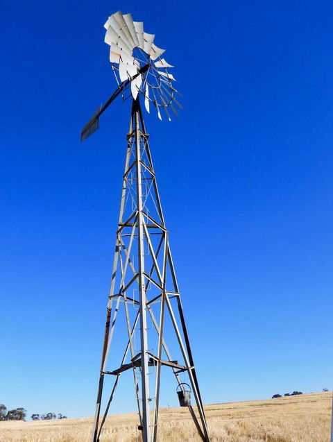 Daisy Cottage - QLD Tourism 3