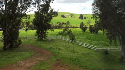 Daisy Cottage - QLD Tourism 22