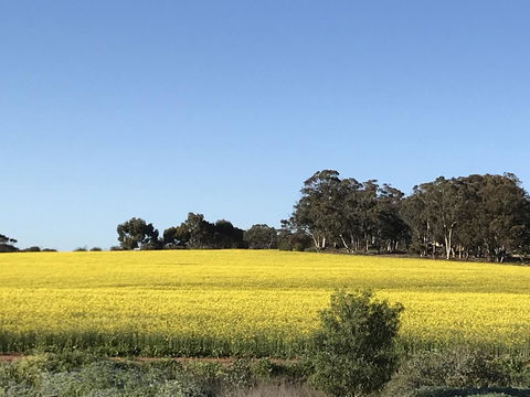 Daisy Cottage - QLD Tourism 6